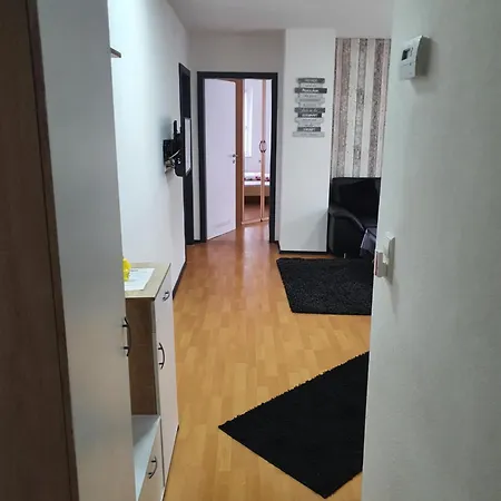 Drei Zimmer Apartment Am Rhein Бад-Зекинген Номер фото