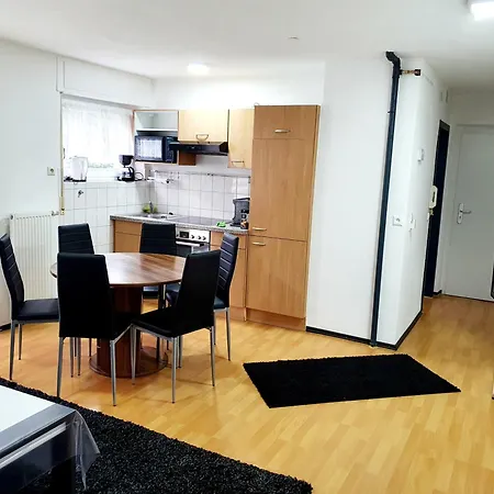 Drei Zimmer Apartment Am Rhein Бад-Зекинген Номер фото