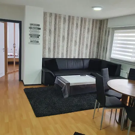 Drei Zimmer Apartment Am Rhein Бад-Зекинген Номер фото