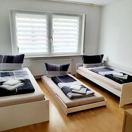Drei Zimmer Apartment Am Rhein Бад-Зекинген Номер фото