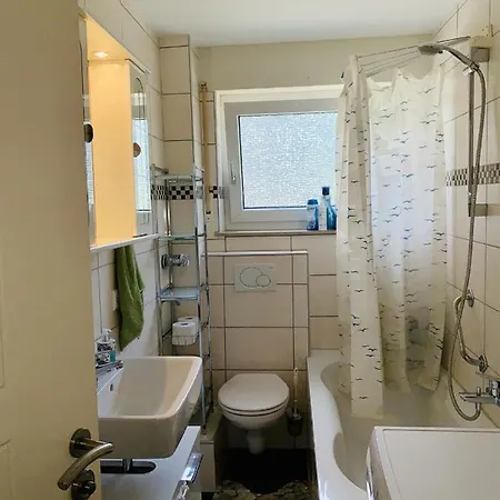 Drei Zimmer Apartment Am Rhein Бад-Зекинген Экстерьер фото