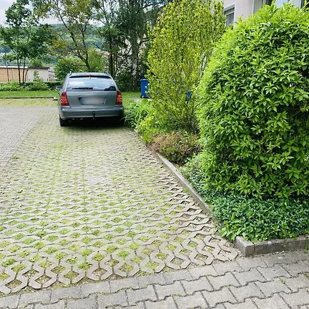 Drei Zimmer Apartment Am Rhein Бад-Зекинген Экстерьер фото